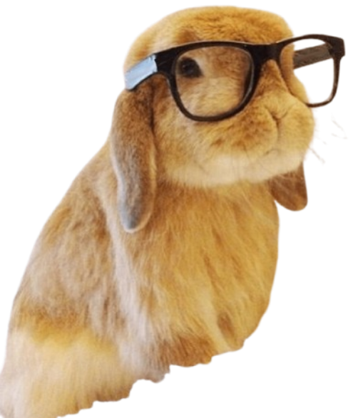 Foku rabbit mascot